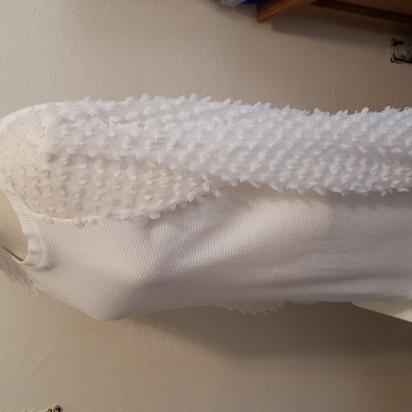 MIHOLL waffle knit top with sheer decorative sleeves - Picture 2 of 7